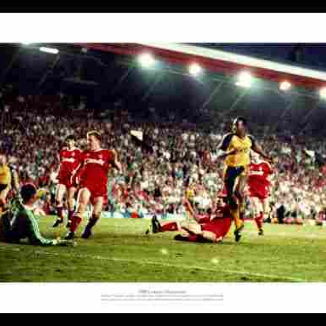 brenandl3's profile picture. 