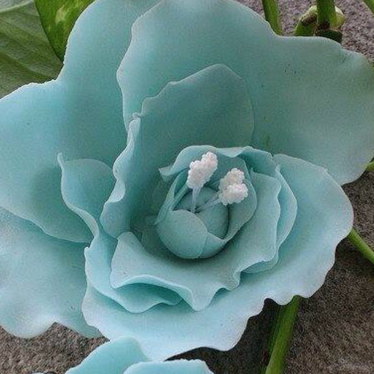 77745_b's profile picture. 