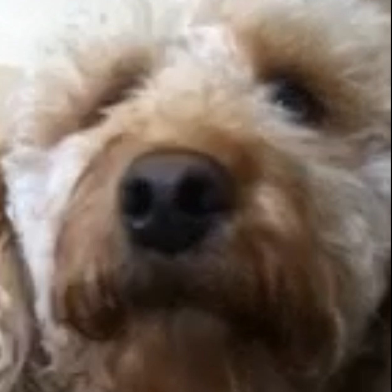 TriggerConroy's profile picture. I can wipe my own ass