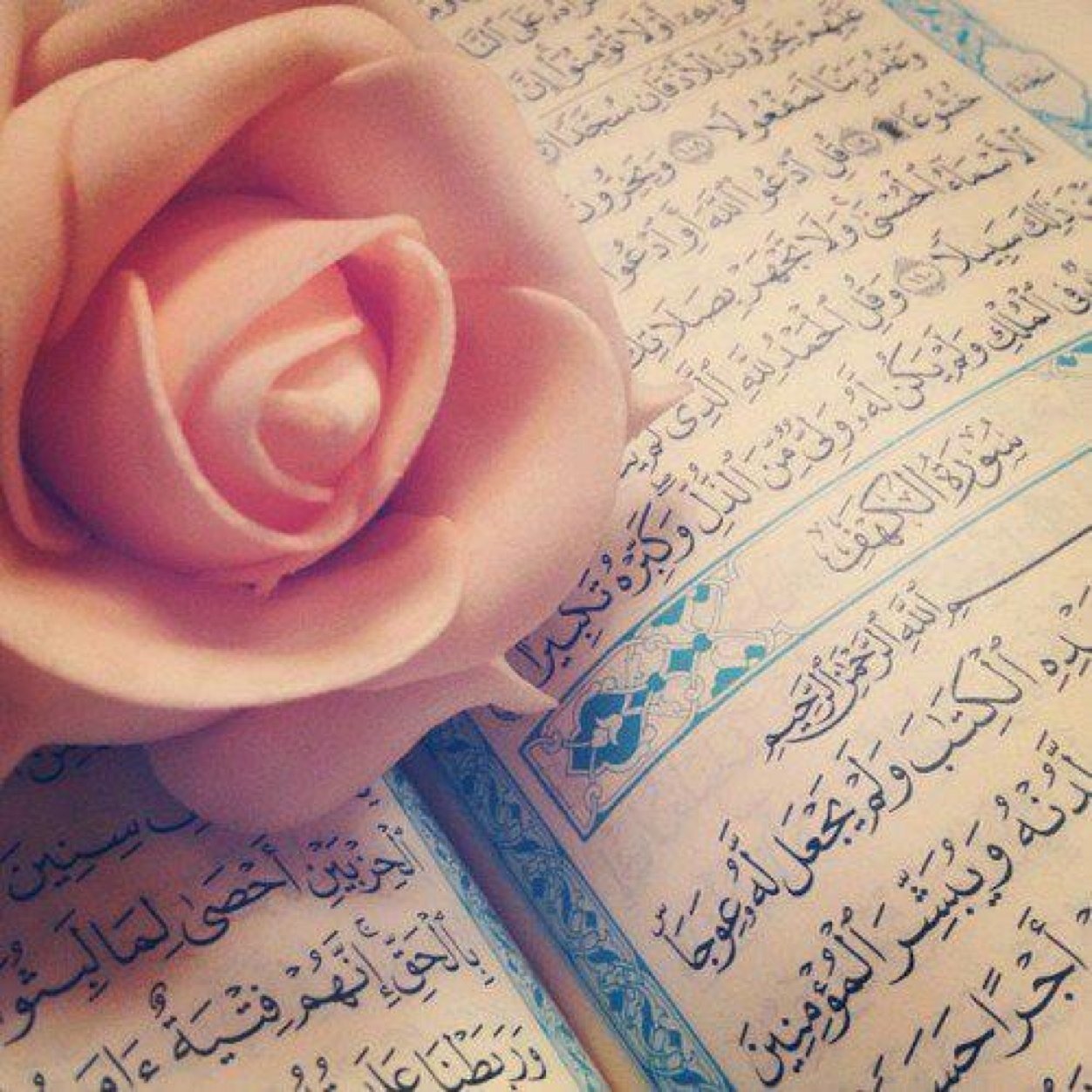 eminaterzic101's profile picture. Let not your love become attachment, nor your hate become destruction. - Umar ibn Al-Khattab