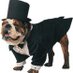 Bad Dog Names (@baddognames) Twitter profile photo Bad Dog Names (@baddognames) Twitter profile photo