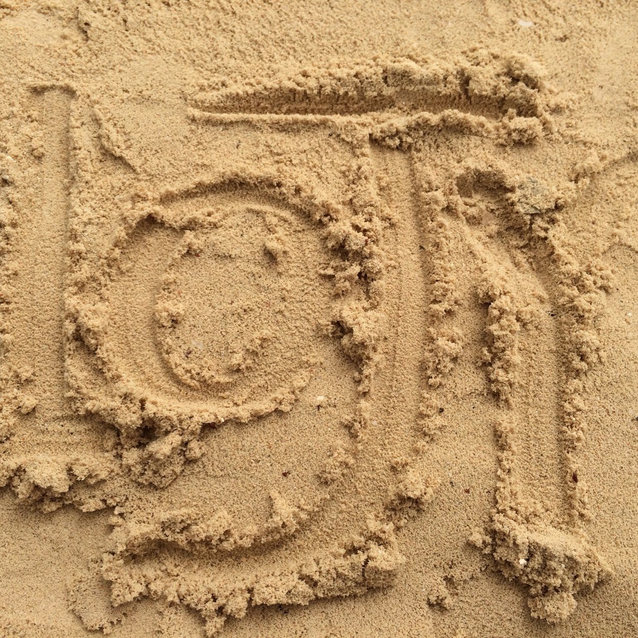 lujain_aah's profile picture. Opportunities require qualification , Not luck