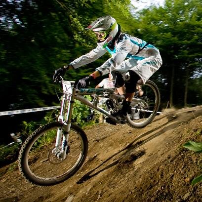 favallelik's profile picture. 