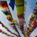 Joanne Cady - @joannesclass - Twitter