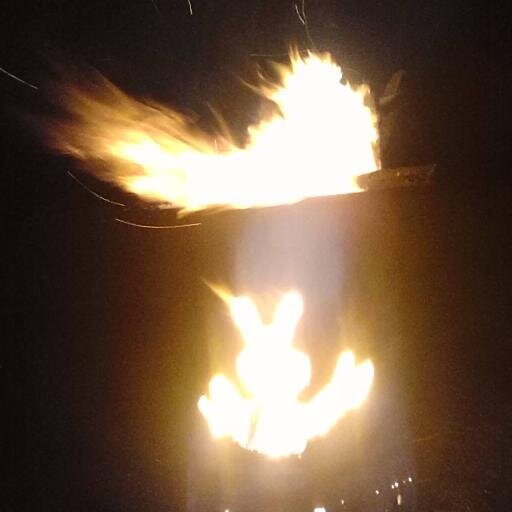 timmylip's profile picture. Startup Advisor, CFO, Fire Artist