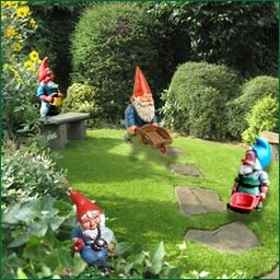 Tuinaanleg, hoveniers, tuinarchitect, tuinontwerp, tuinonderhoud, tuinverzorging, boomverzorging, advies.
