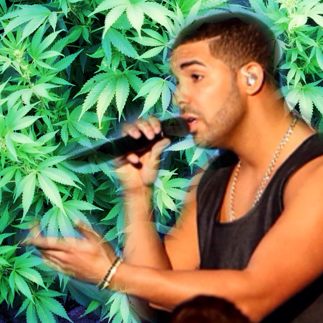 Submit your FAVORITE Weed Names