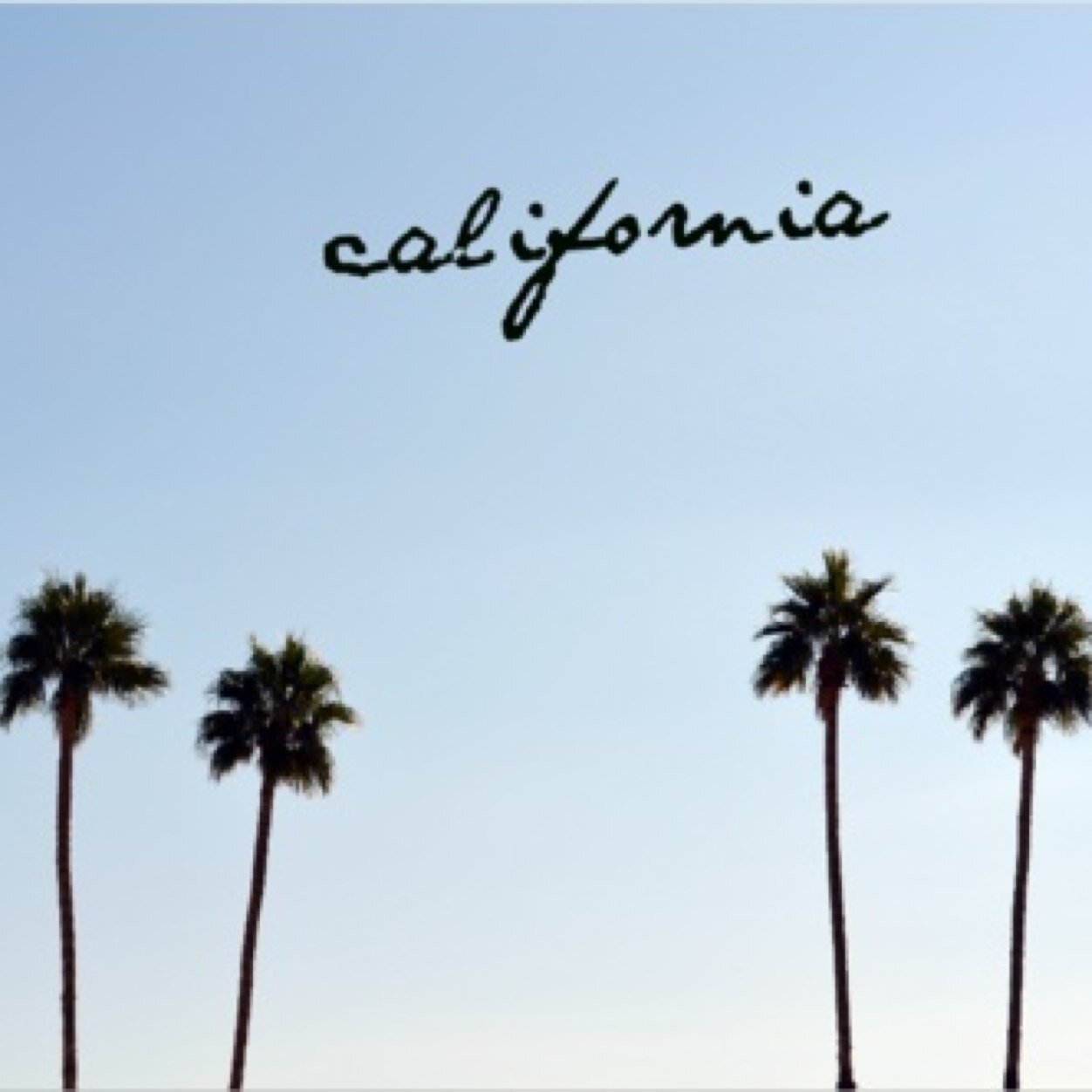 sworfsworf's profile picture. 