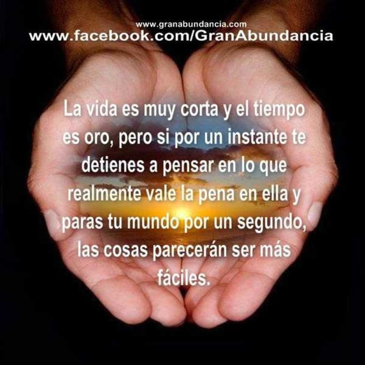 AgamaPatricia's profile picture. 