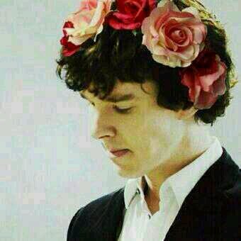 I can't live without my fandoms.