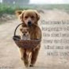 CharlesgGemma's profile picture. Speech/Language Pathologist