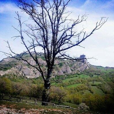 Primo Parco storico-rurale e ambientale d’Italia, si sviluppa su 12 ettari, in territorio di Brindisi Montagna a 12 km da Potenza. http://t.co/0oO00uXZtX