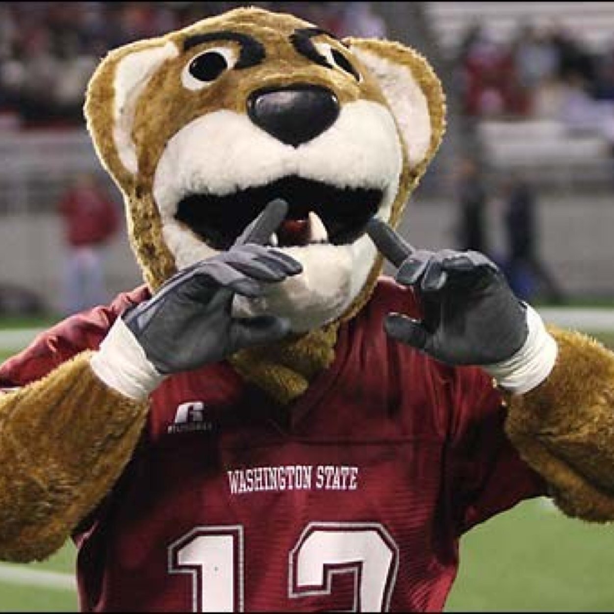 Yaks and College Confessions from WSU Pullman (Account not affiliated with Washington State University or YikYak) #GoCougs