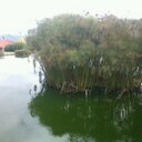 Daniel Arvelo - @Arvelodaniel - Twitter