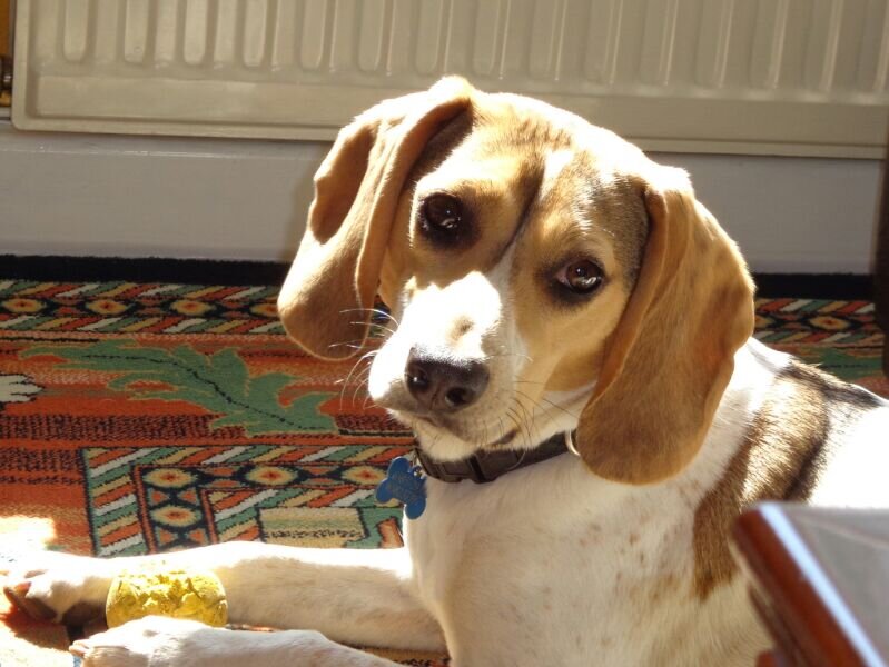 CSVSalmonte's profile picture. 