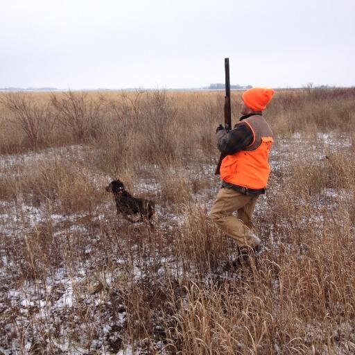 pwjk12's profile picture. 