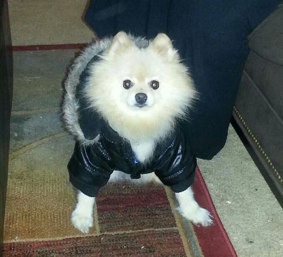 2loveis4ever's profile picture. 