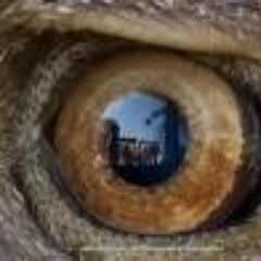 the52521's profile picture. Follow me = Follow back  تابعني = اتابعك