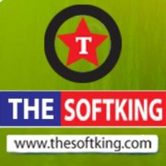 THESOFTKING Limited