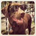 Bob Werner - @berb_trundleton - Twitter