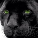 Gemma Arenas - @arenas_gemma - Twitter