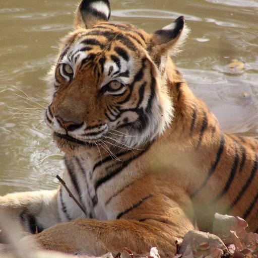 N7J5QPO's profile picture. 00011010110110100100101101001011010