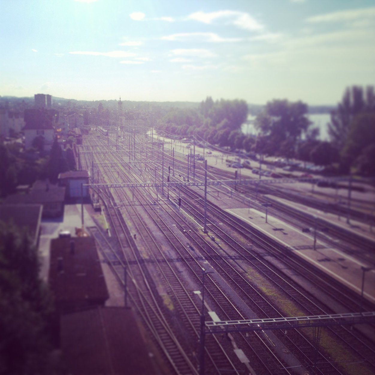 FlavioRutz's profile picture. 