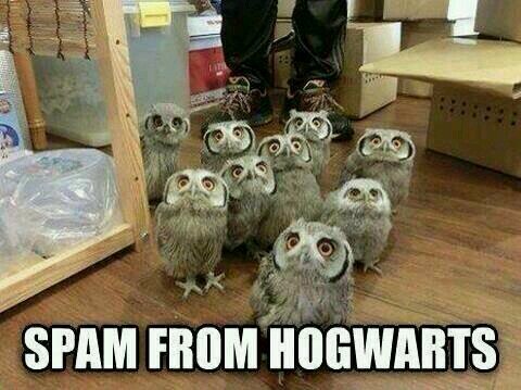 Harry Potter And Disney Fan Girl Proud HufflePuff
