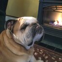 jeff bergeron - @jeffbergeron - Twitter