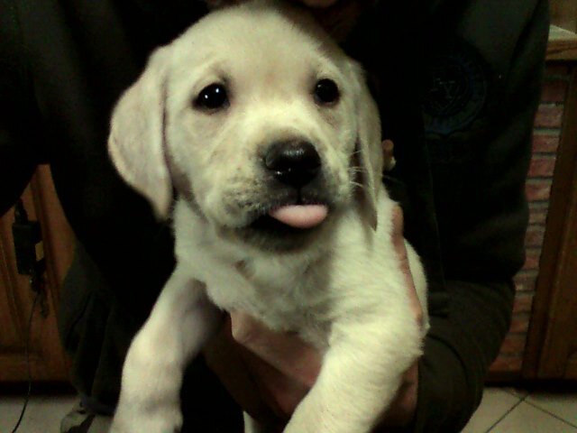 mariollinno1665's profile picture. 