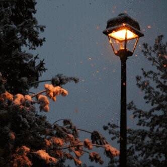 ˛ н̴υ̵ω̵̵ɐτк  ..♥       F