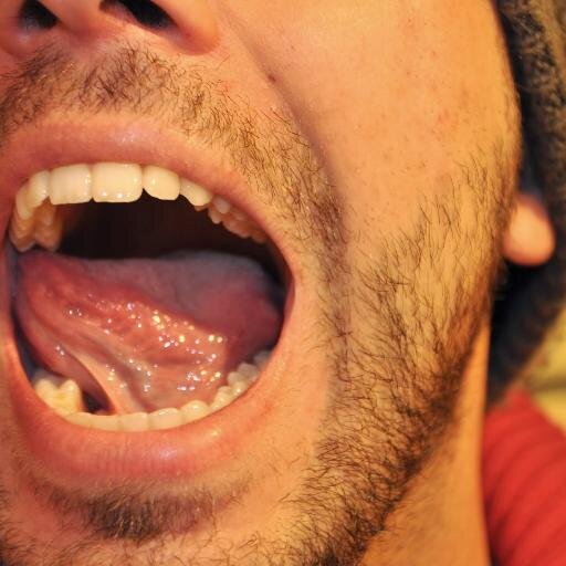 schiavonirt's profile picture.