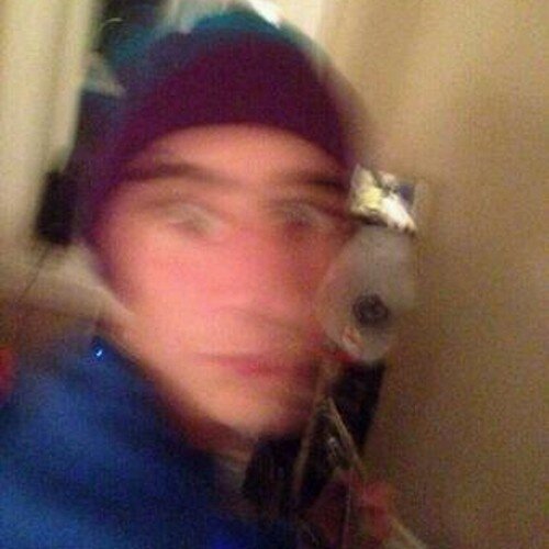 DON'T FOLLOW THIS ACCOUNT FOLLOW @janothatgremlin