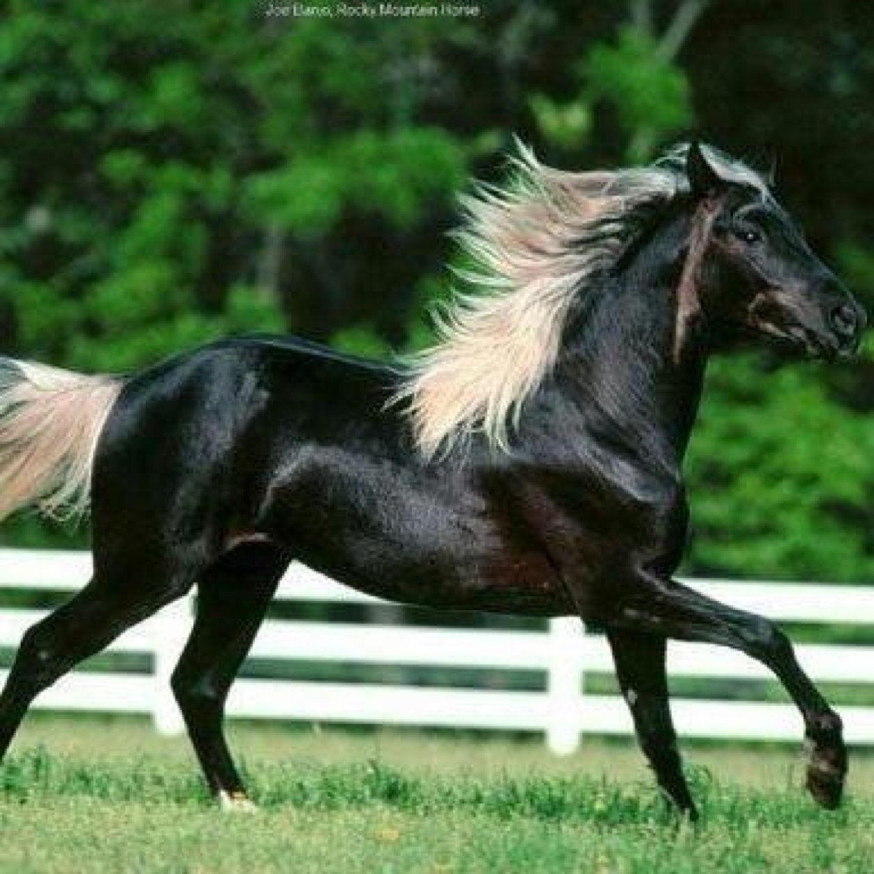 m7mds3eed's profile picture. hi, life is good , is it?