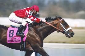giving you fully researched horse racing tips to help you create an income from horse race punting