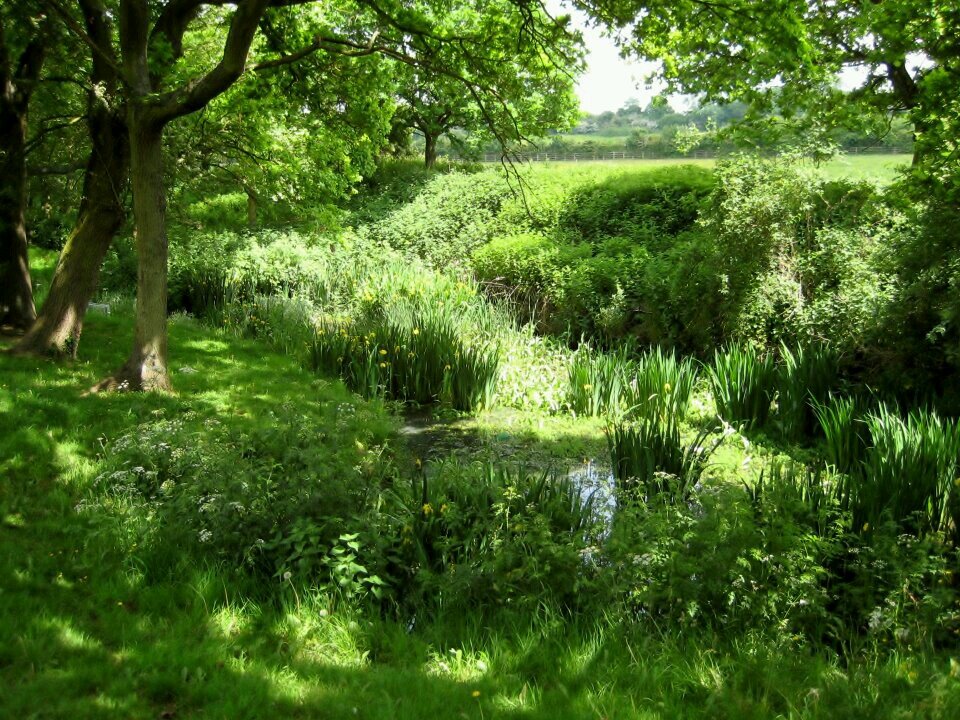 Hanham District Green Belt Conservation Society. Defending our green fields and the Avon Valley. Contact: hanhamgreenbelt30@gmail.com
Please join us.