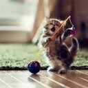 terry buzbee - @terrybuzbee - Twitter