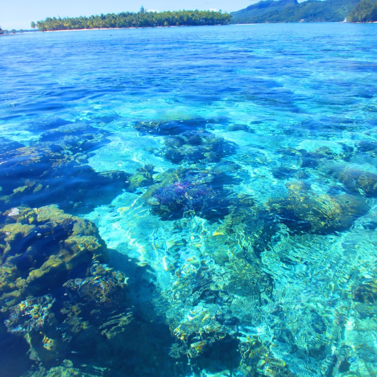 Luispa2013's profile picture. 