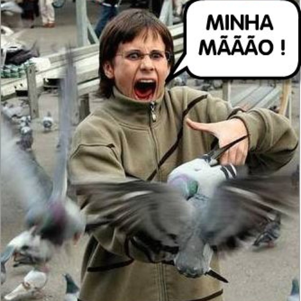 EU SOU UM POMBO LEGAL. ----- POMBOS