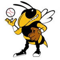 GT Softball (@gatechsoftblla) 's Twitter Profile