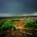 صقر الجزيره (@053222213) Twitter