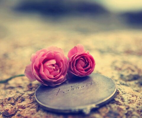 تٌغرٍيَدِآتٌيَ هي رٍأيَ آلُخـآصٍ ۆآلُلُيَ مآتٌعٍجٍبْہ معٍ نْفَسہ..