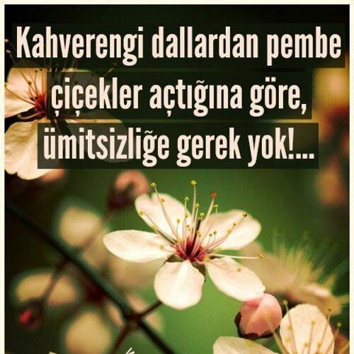 Son nefese kadar hizmet.
