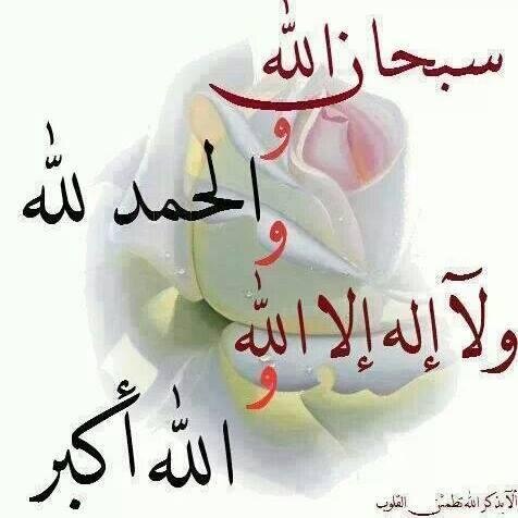 ahmedabd270's profile picture. 