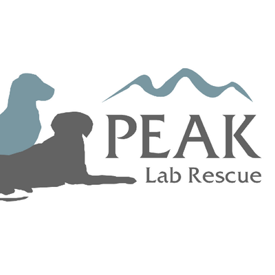 lab adoptions