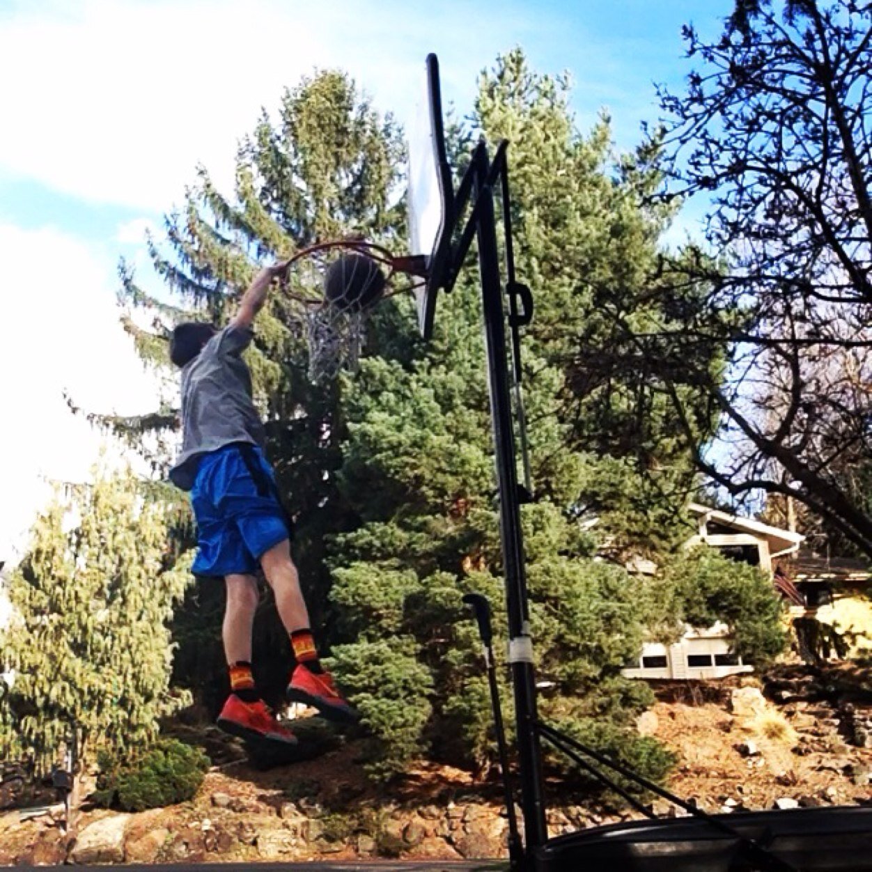 h3nry_h2's profile picture. Rossi's the main.  Basketball's our game.