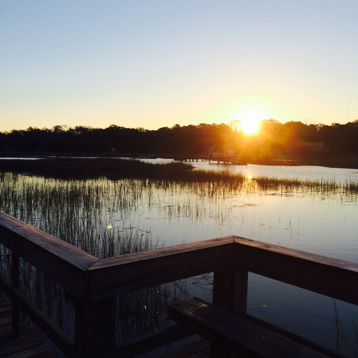 Charleston Realtor®