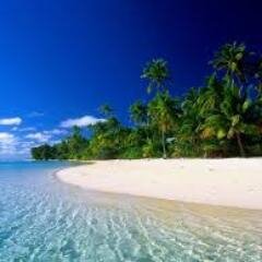 Giftofgivin's profile picture. 