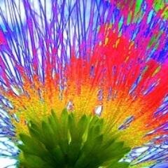 byathread's profile picture. What you do speaks so loudly that I cannot hear what you say. ~Emerson