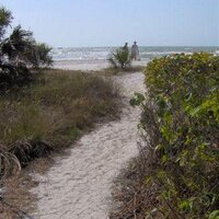 cynthiadannbeardsley (@languageartssci) 's Twitter Profile